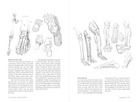 Morpho: Hands and Feet: Anatomy for Artists (Morpho: Anatomy for Artists, 5)