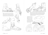 Morpho: Hands and Feet: Anatomy for Artists (Morpho: Anatomy for Artists, 5)