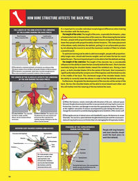 Strength Training Anatomy