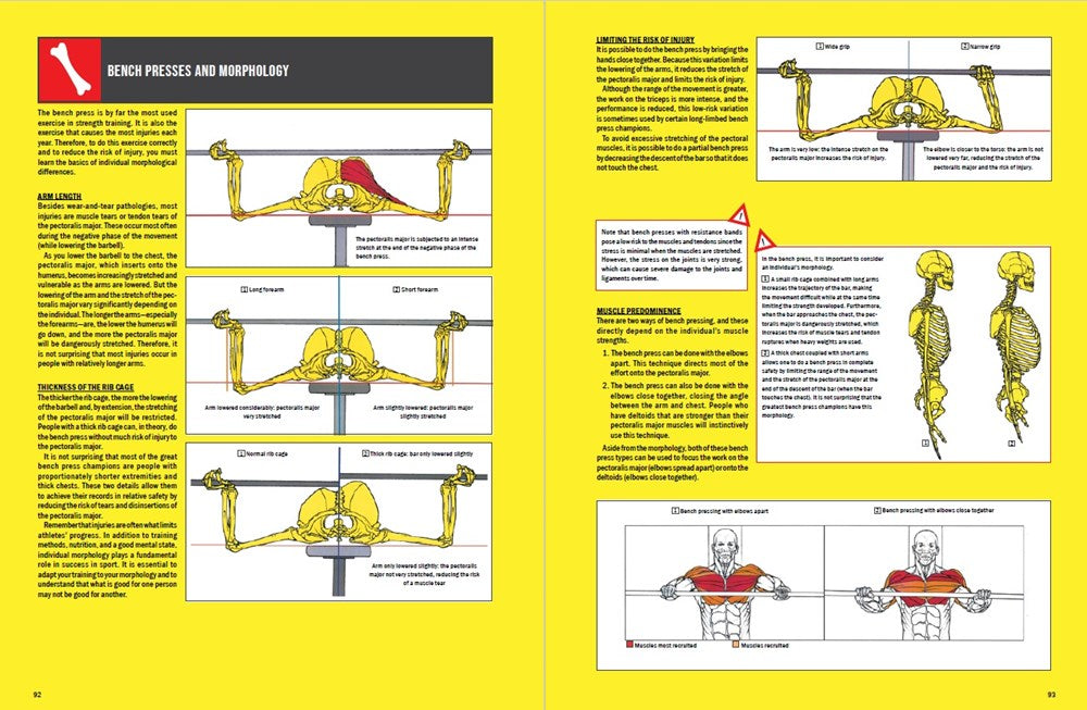 Strength Training Anatomy