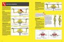 Strength Training Anatomy