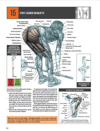Strength Training Anatomy