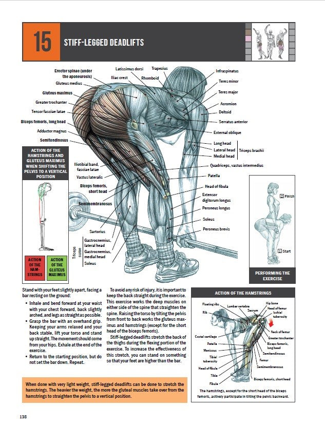 Strength Training Anatomy