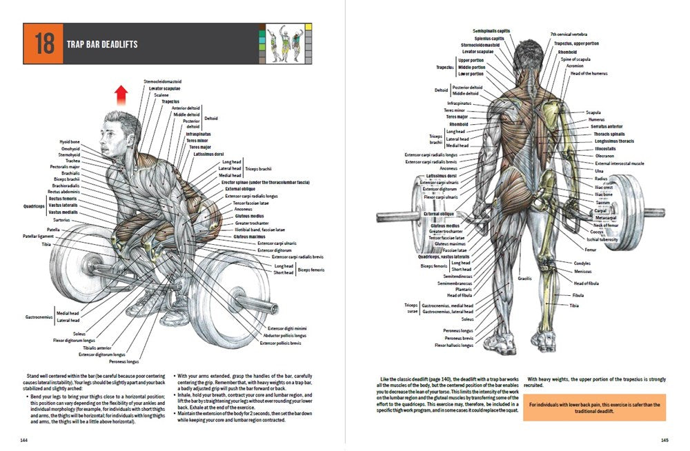 Strength Training Anatomy