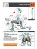 Strength Training Anatomy