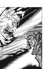 Slayers Volumes 1-3 Collector's Edition (Light Novel)