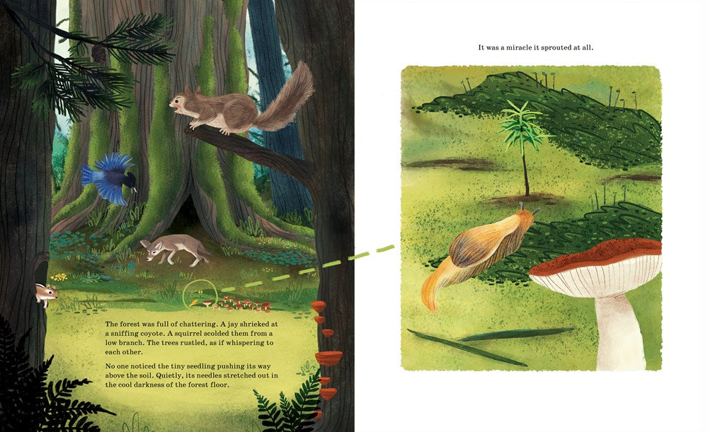 Listen to the Language of the Trees