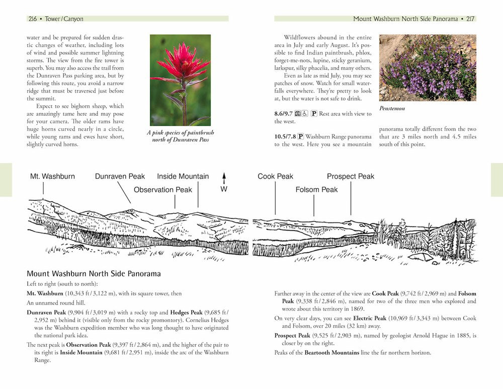 Yellowstone Treasures