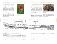 Yellowstone Treasures