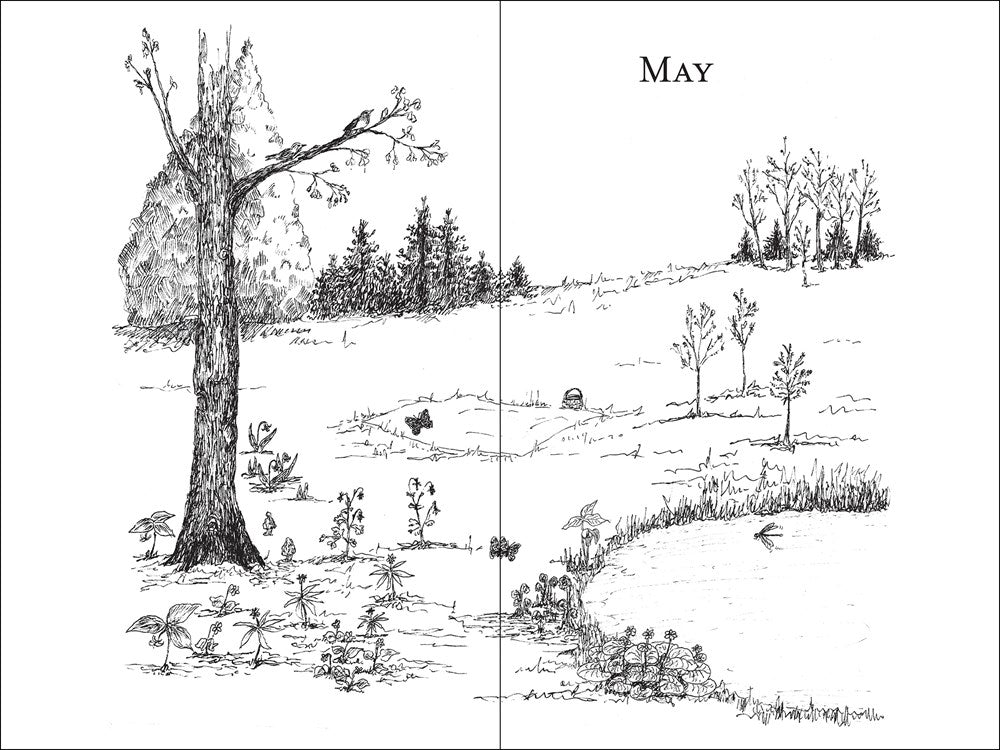 365 Days of Northern Nature