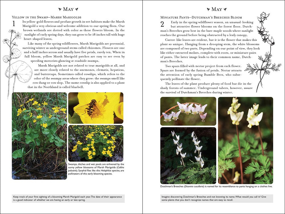 365 Days of Northern Nature