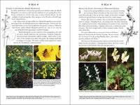 365 Days of Northern Nature