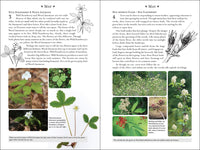 365 Days of Northern Nature