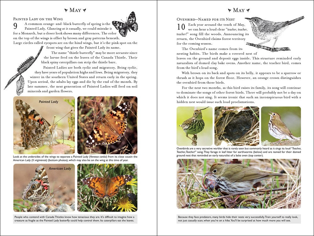 365 Days of Northern Nature