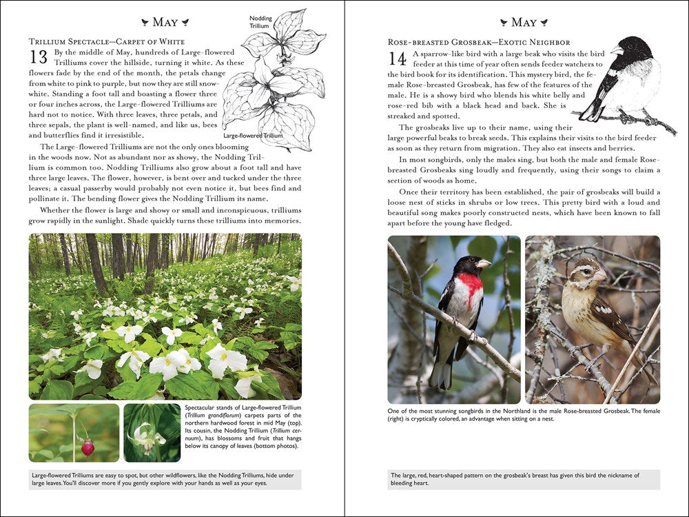 365 Days of Northern Nature