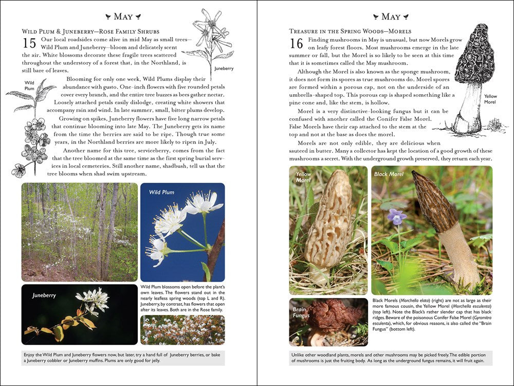 365 Days of Northern Nature