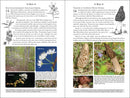 365 Days of Northern Nature