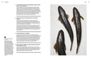 The Whole Fish Cookbook: New Ways to Cook, Eat and Think