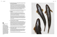 The Whole Fish Cookbook: New Ways to Cook, Eat and Think