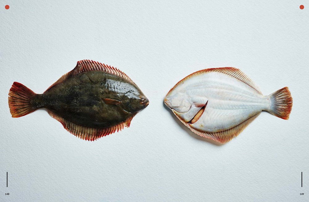 Take One Fish