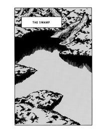 The Swamp