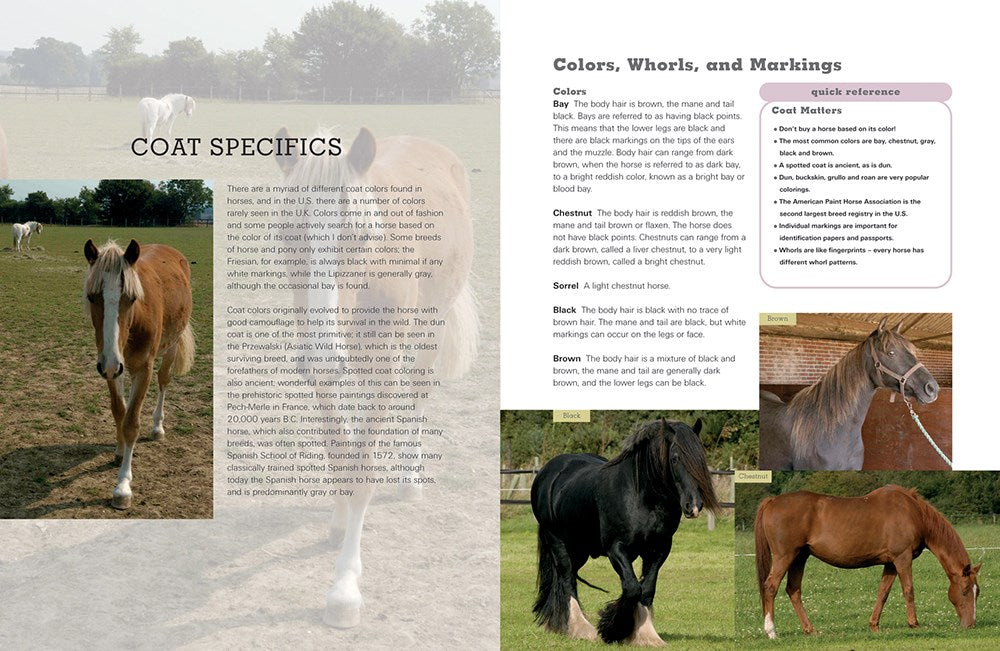 The Horse Lover's Bible