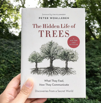 The Hidden Life of Trees: What They Feel, How They Communicate―Discoveries from A Secret World (The Mysteries of Nature, 1)
