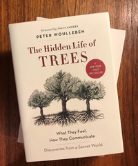 The Hidden Life of Trees: What They Feel, How They Communicate―Discoveries from A Secret World (The Mysteries of Nature, 1)