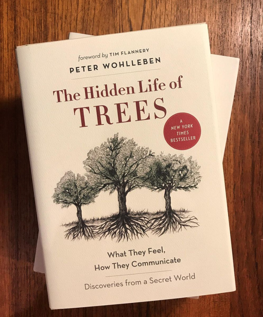 The Hidden Life of Trees: What They Feel, How They Communicate―Discoveries from A Secret World (The Mysteries of Nature, 1)