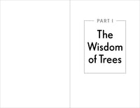 The Power of Trees