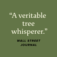 The Power of Trees