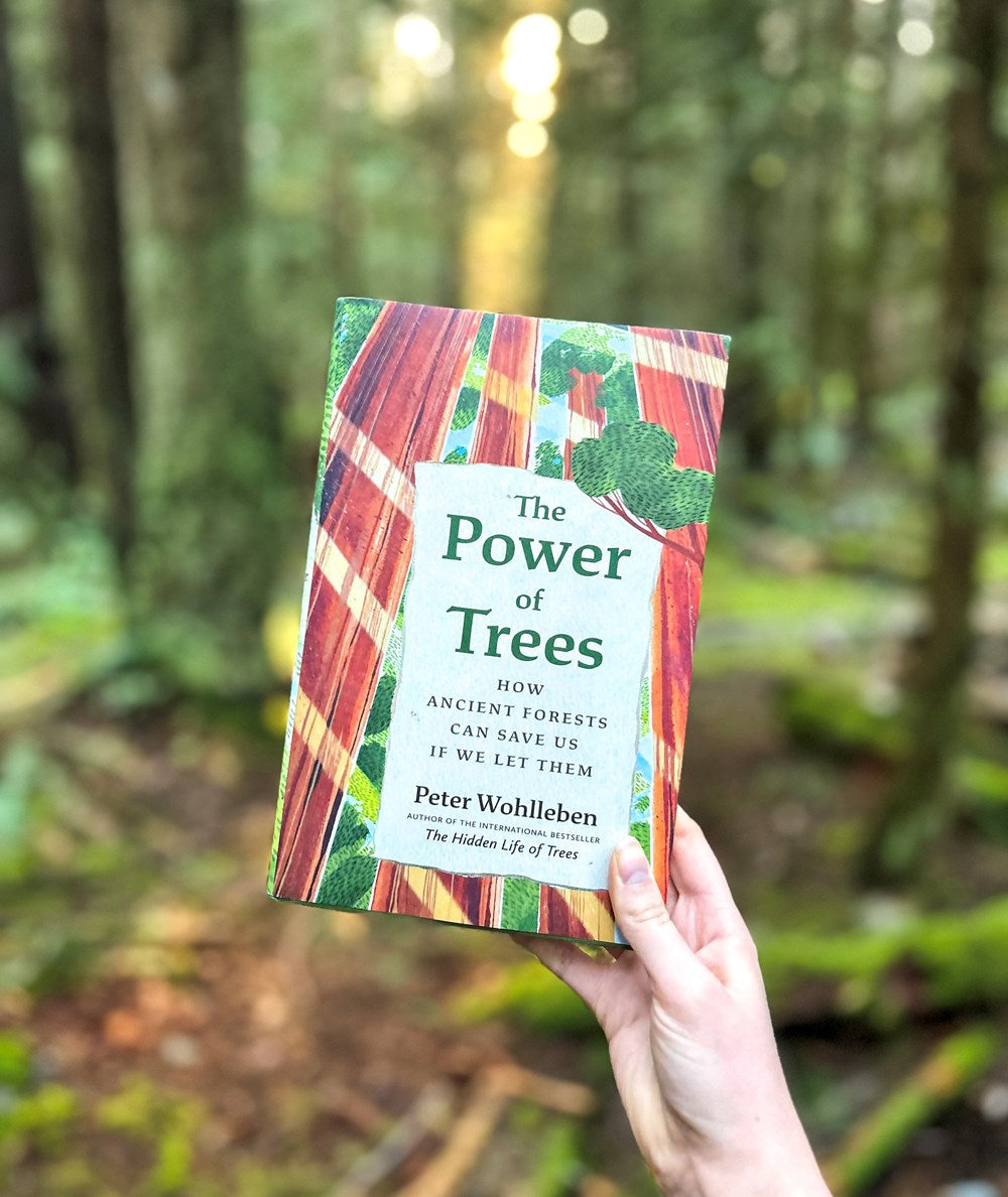 The Power of Trees