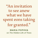 The Power of Trees