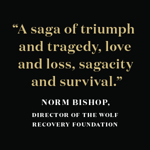 The Rise of Wolf 8