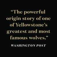 The Rise of Wolf 8