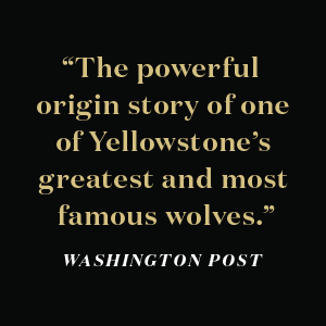 The Rise of Wolf 8