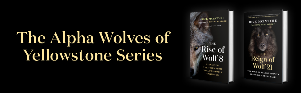 The Rise of Wolf 8