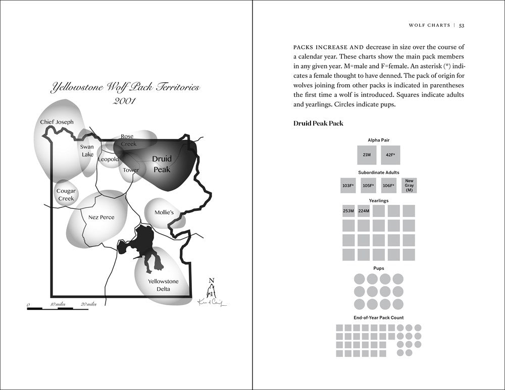 The Reign of Wolf 21