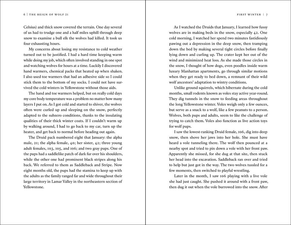 The Reign of Wolf 21