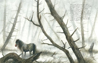 Faeries of the Faultlines