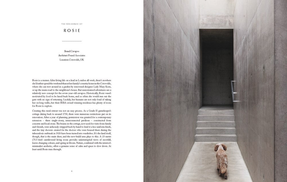 Resident Dog (Volume Two): Incredible Homes and the Dogs Who Live There