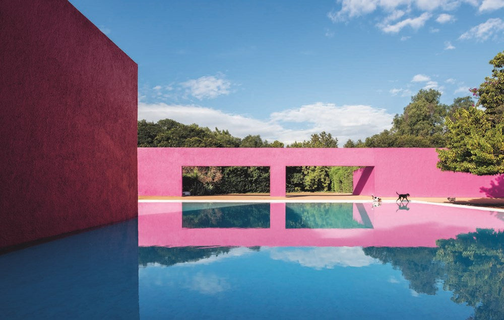 Resident Dog (Volume Two): Incredible Homes and the Dogs Who Live There