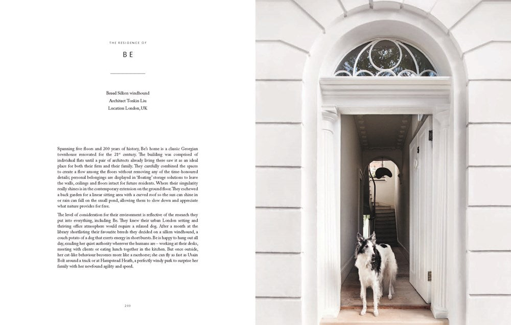 Resident Dog (Volume Two): Incredible Homes and the Dogs Who Live There