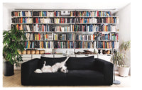 Resident Dog (Volume Two): Incredible Homes and the Dogs Who Live There