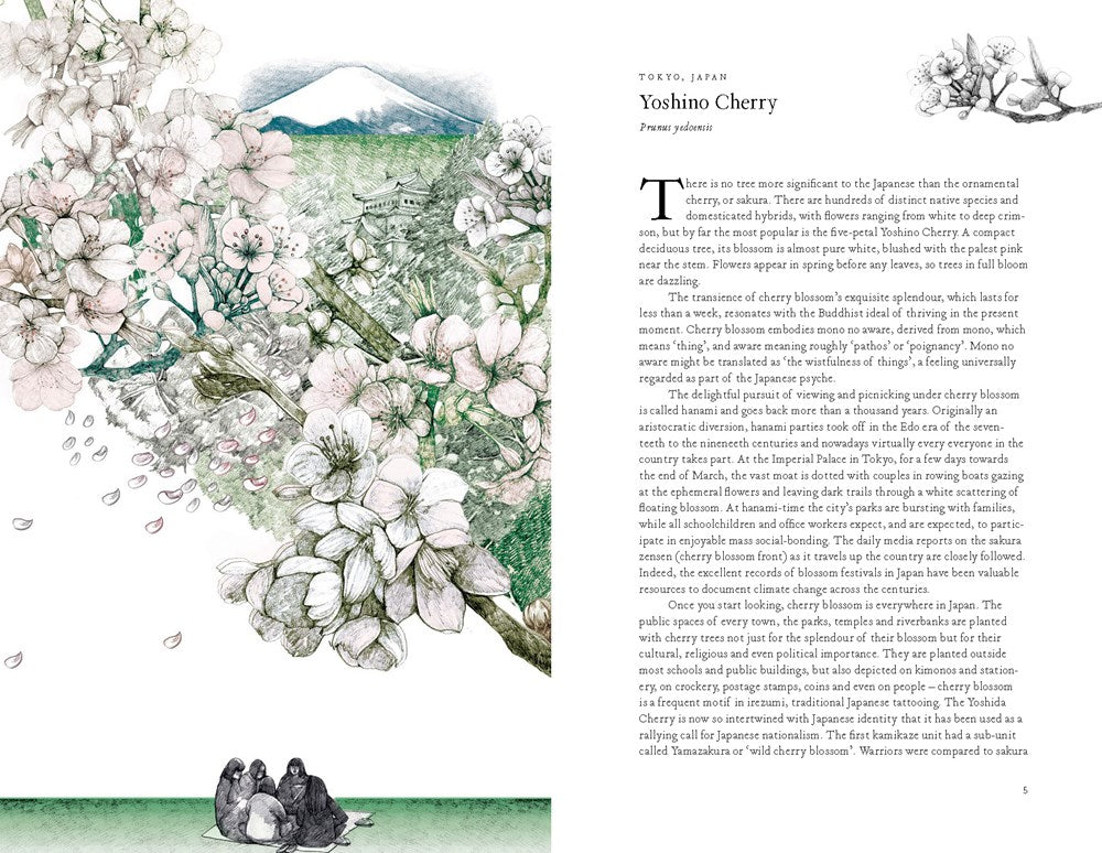 Around the World in 80 Trees