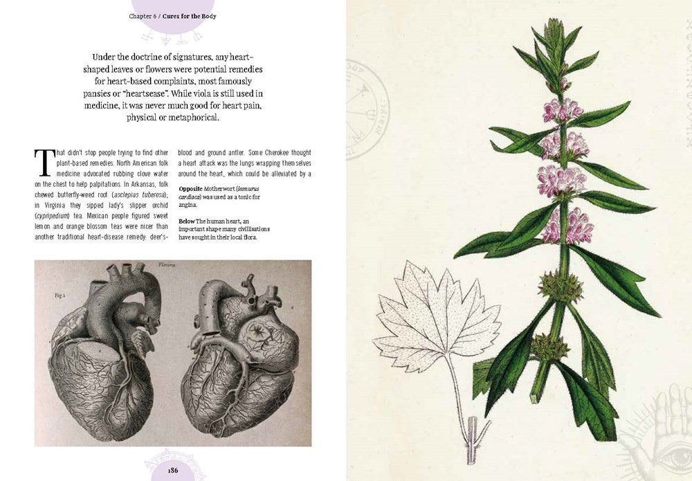 Kew: The Witch's Garden