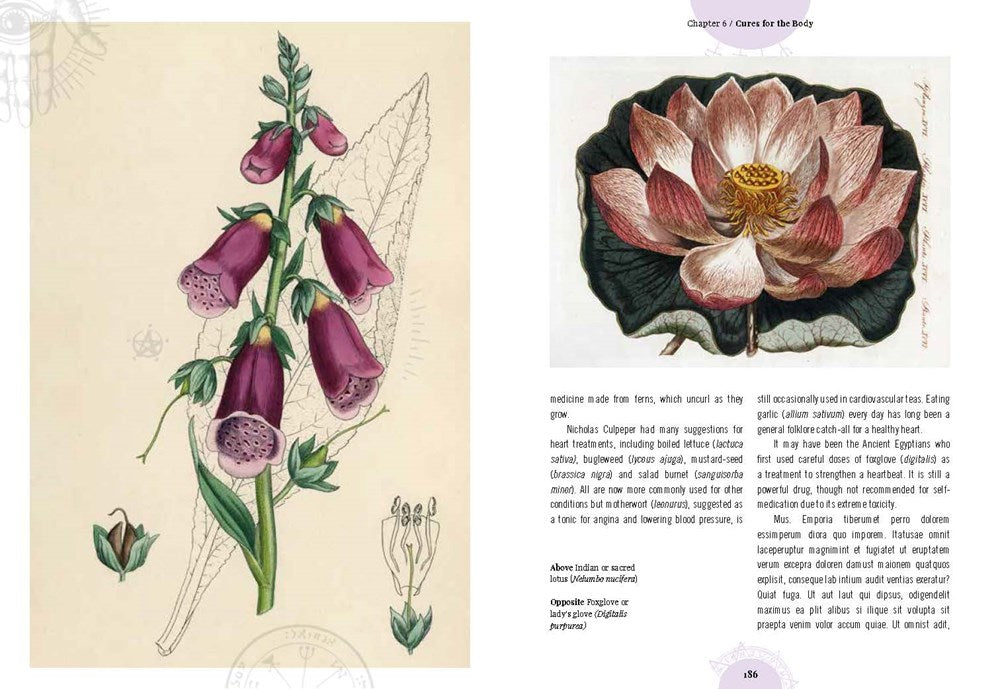 Kew: The Witch's Garden