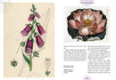 Kew: The Witch's Garden