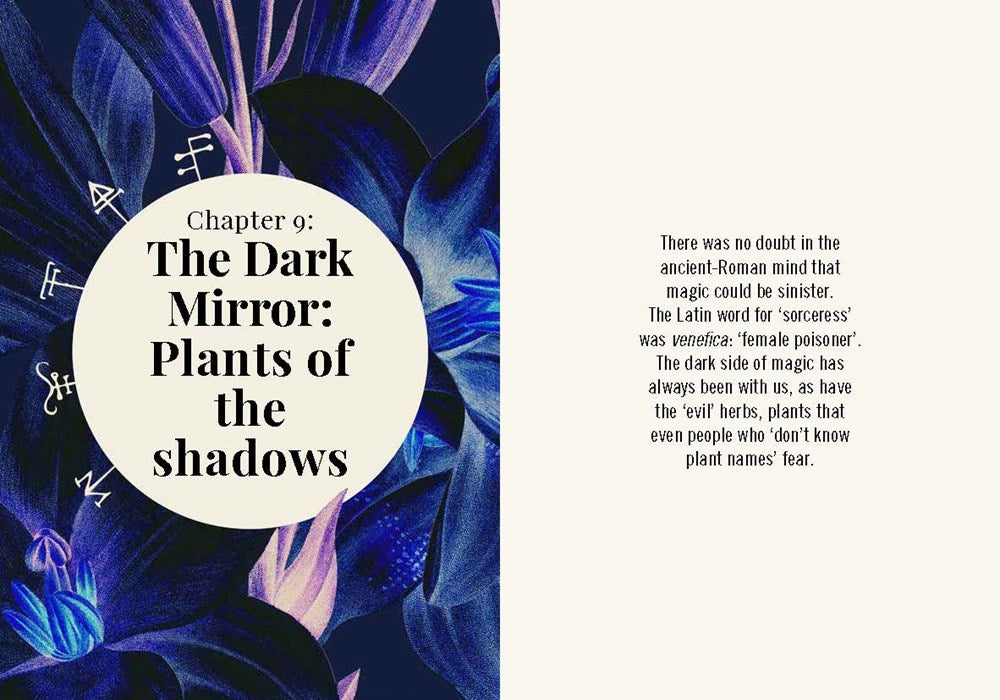 Kew: The Witch's Garden