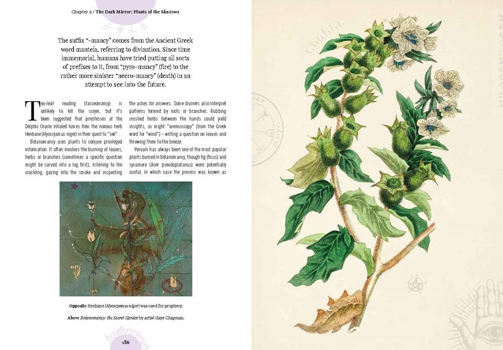 Kew: The Witch's Garden